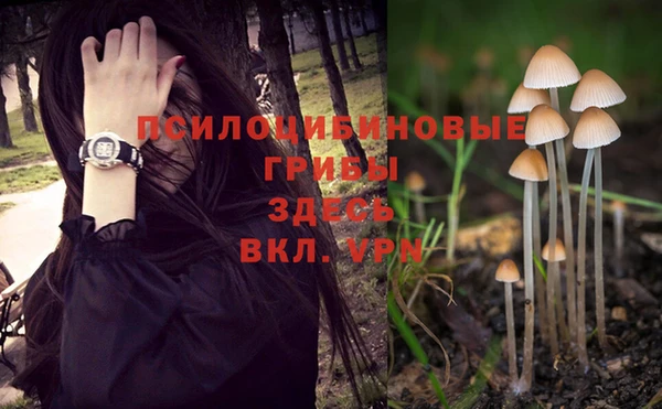 спиды Белокуриха