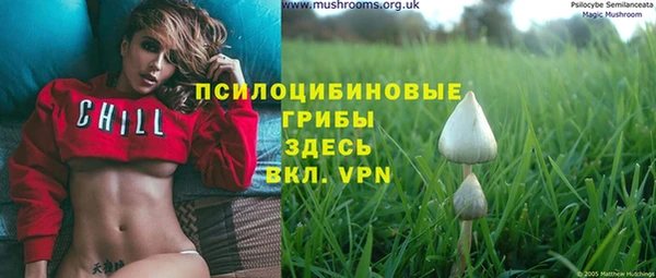 спиды Белокуриха